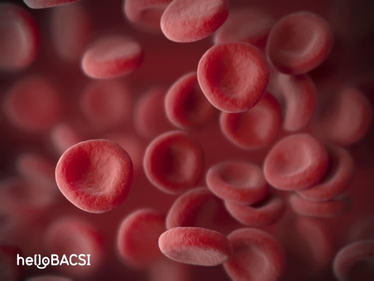 dinh-luong-hemoglobin