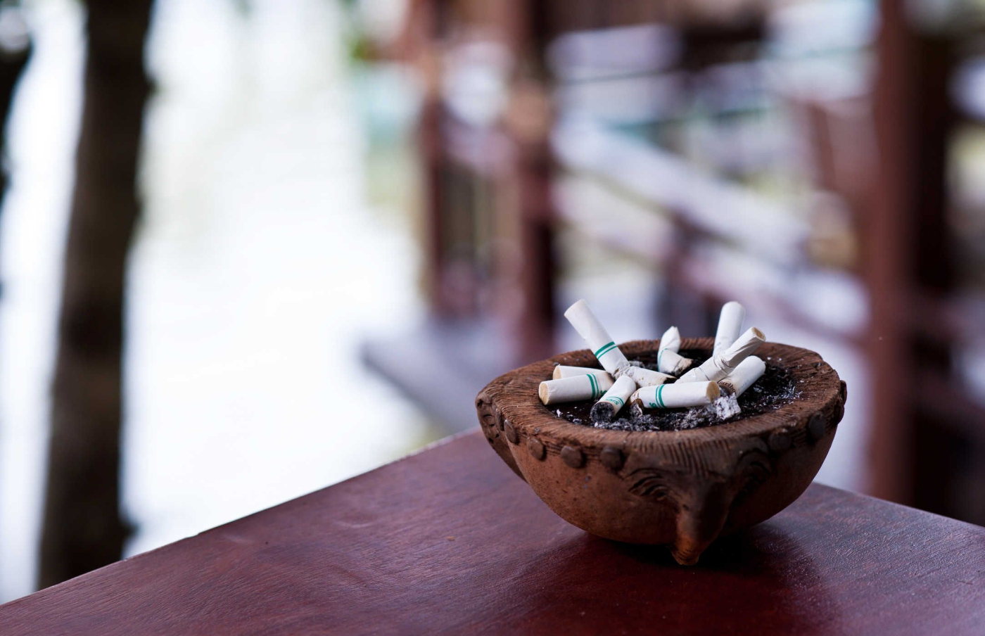 Những dạng khác của thuốc lá