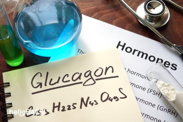 glucagon