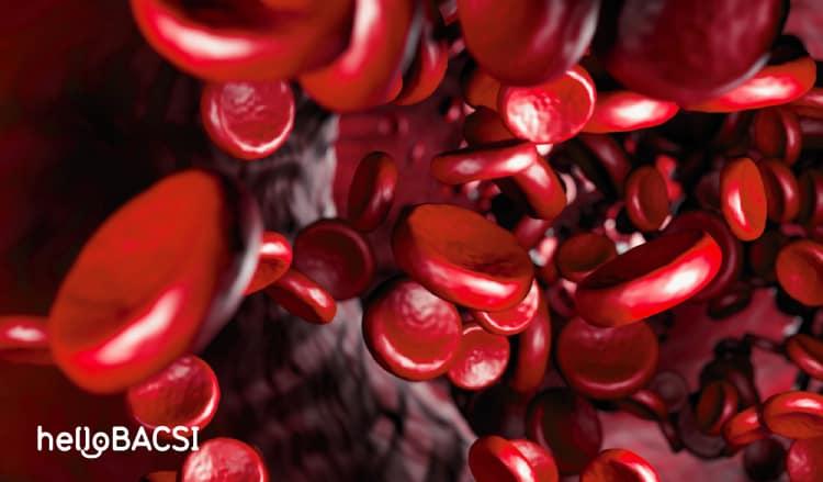 Mỡ trong máu (máu nhiễm mỡ)