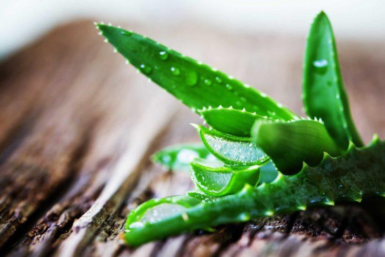Lô hội làm trắng da có hiệu quả không?