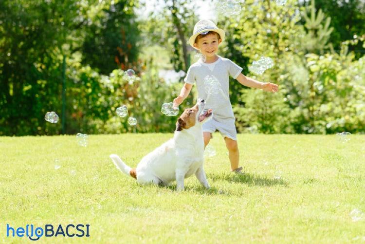 Xử lý đúng cách khi trẻ bị chó cắn và cách phòng ngừa