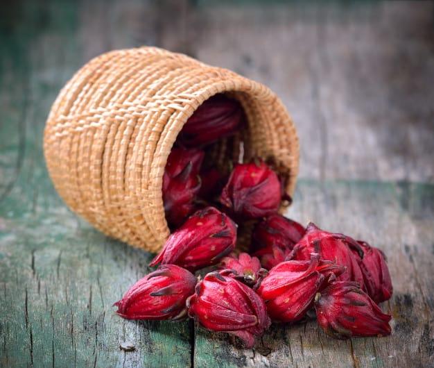 Cây bụp giấm