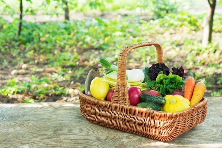 Chế độ dinh dưỡng khi bị mụn trứng cá