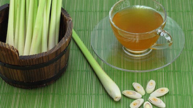 cong-dung-tri-benh-tuyet-voi-cua-cay-sa