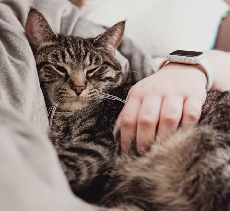 8-loi-don-khi-mang-thai-hoa-ra-cung-dung