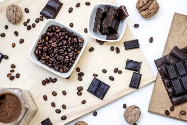 khi-cho-con-bu-co-duoc-an-chocolate-khong
