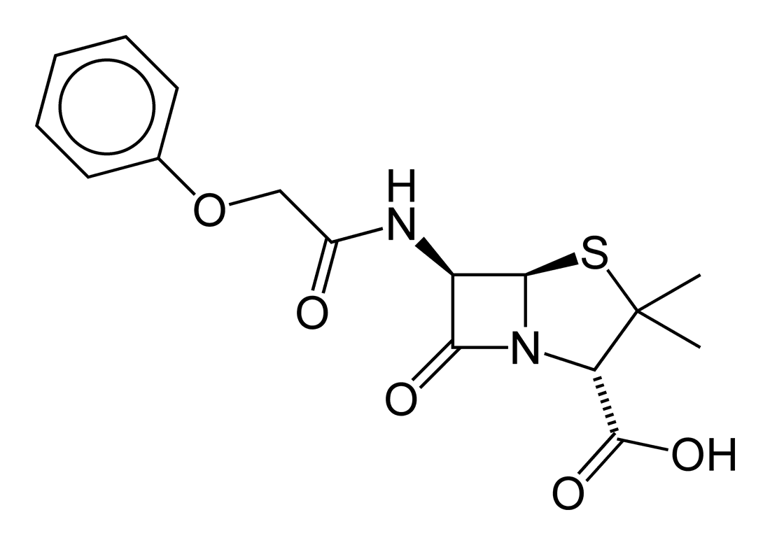 Phenoxymethyl penicillin