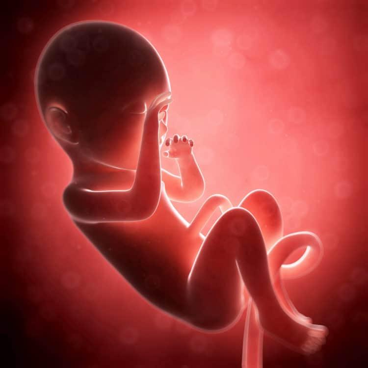 Bạn có biết em bé trong bụng mẹ thở như thế nào?