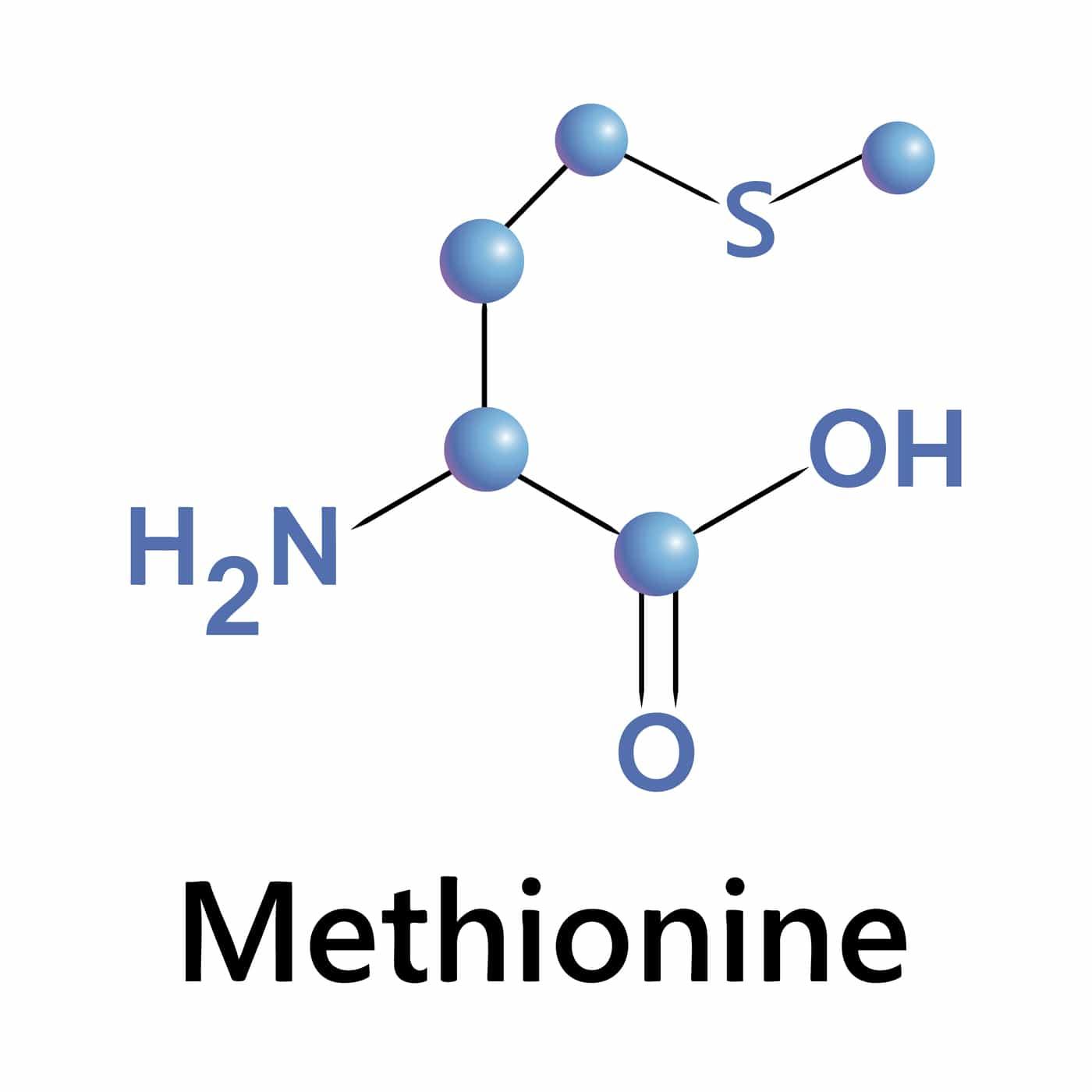Methionine