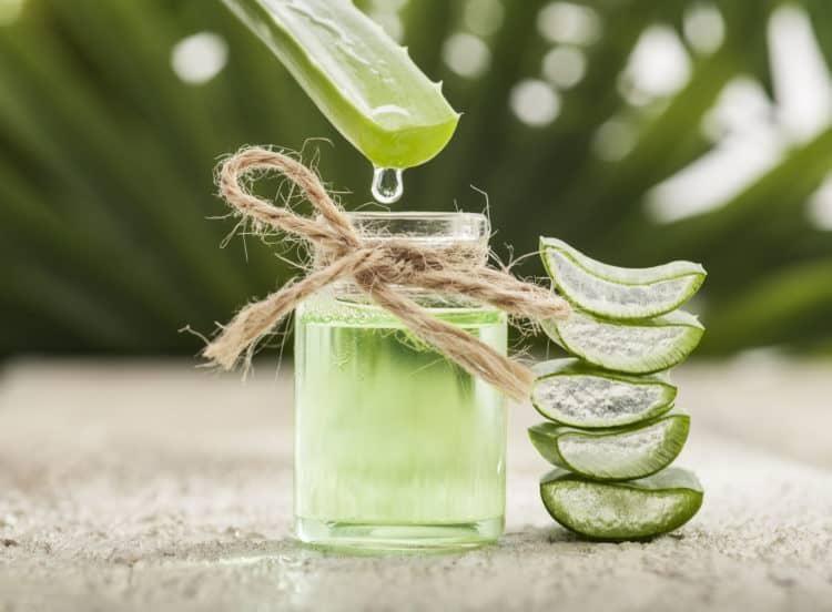 Cách dùng lô hội cho bé để giúp làm dịu da