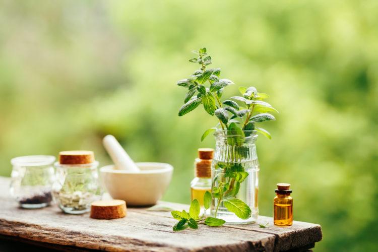 Cách sử dụng tinh dầu bạc hà làm đẹp bây giờ bạn mới biết!