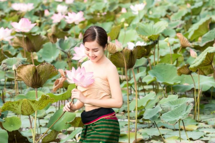 Cây sen: Bài thuốc quý giúp bạn luôn khỏe đẹp