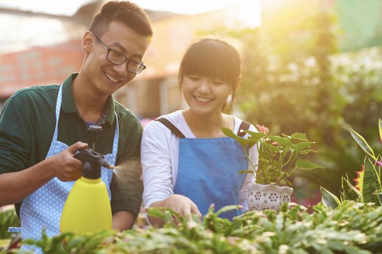 10 cách bảo vệ môi trường để bạn sống khỏe mạnh hơn