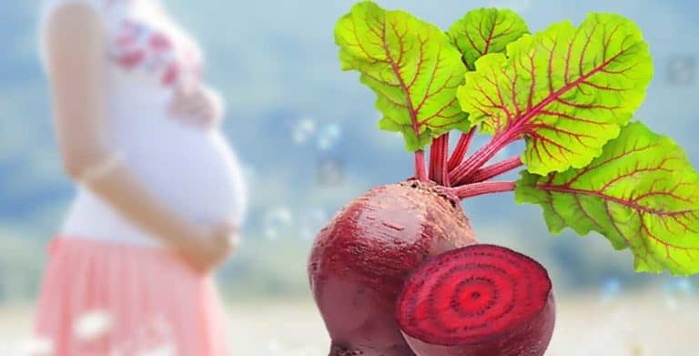 Bà bầu ăn củ dền được không? Tìm hiểu 10 lợi ích của củ dền với mẹ bầu