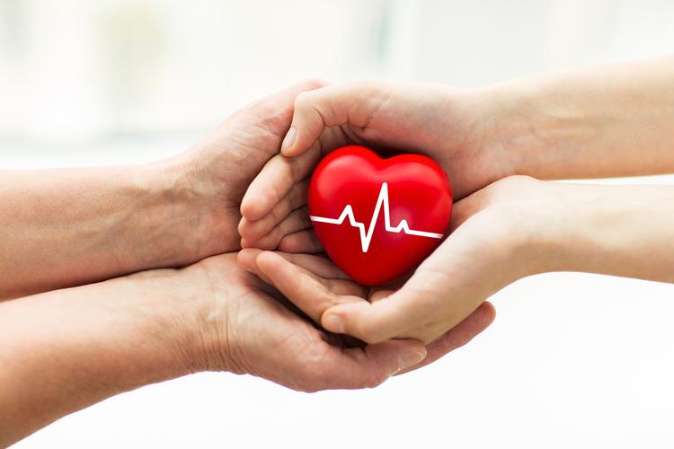 Tổng quan về cấy ghép nội tạng