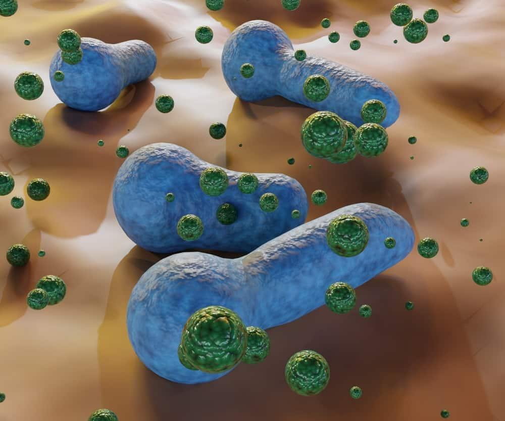 ngo-doc-clostridium-botulinum