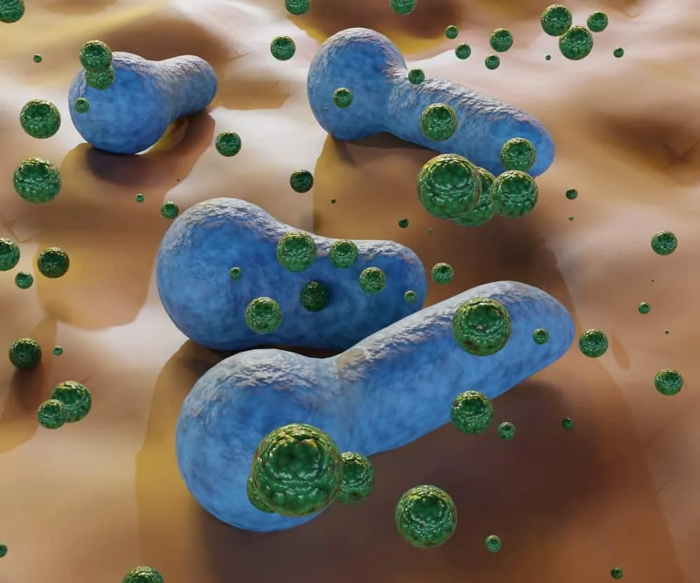 Độc tố Botulinum là gì? Vì sao ngộ độc Botulinum và những điều cần biết