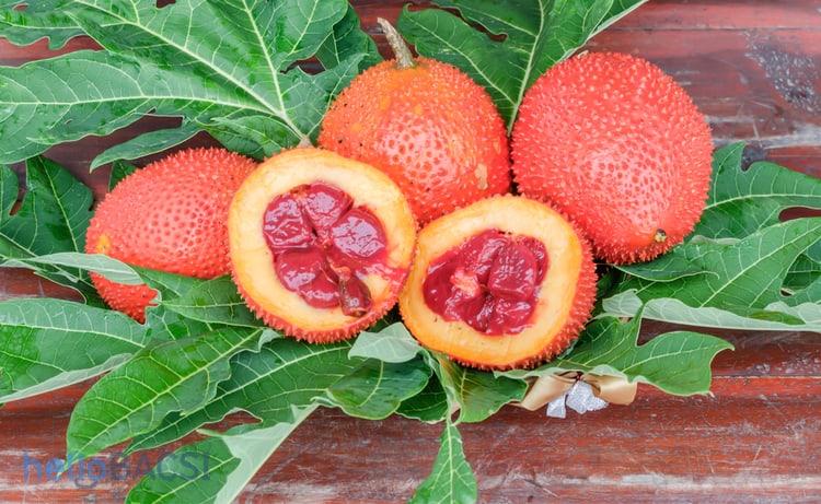 Một số cách nấu xôi gấc nhanh và ngon