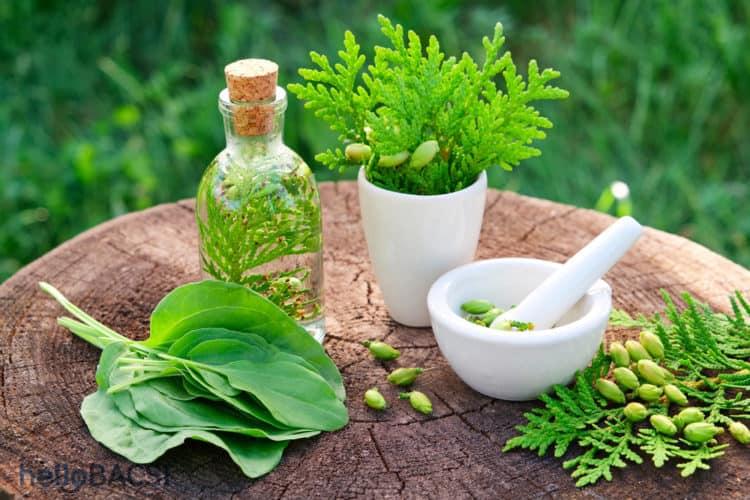 Thuốc nam trị thiếu máu cơ tim: Lợi thế kinh ngạc từ Đông y