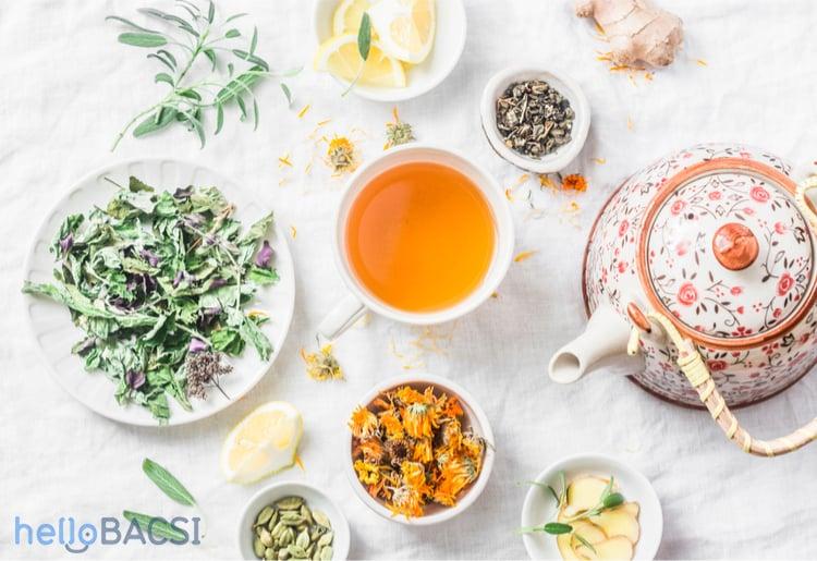 Bạn đã biết rõ về công dụng của trà bồ công anh chưa?