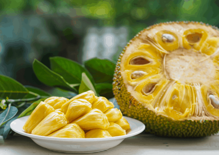 Mùa mít tới rồi! Xem ngay ăn quả mít có tác dụng gì để tích cực bổ sung cho cơ thể