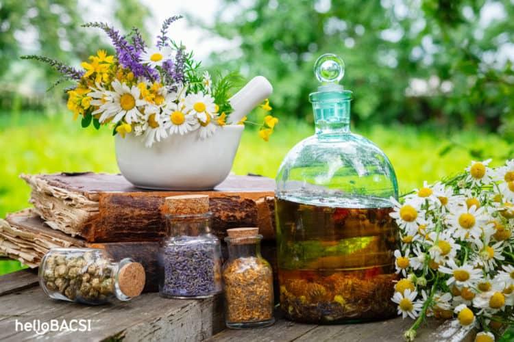 8 thảo dược giúp bạn chữa đầy hơi một cách tự nhiên