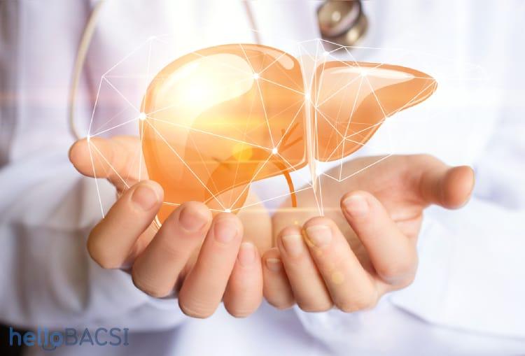 Chức năng của gan quan trọng thế nào? Hiểu rõ để bảo vệ gan tốt hơn