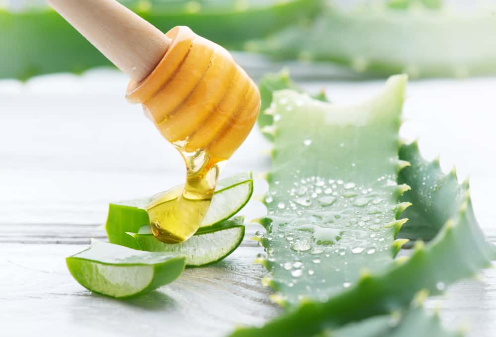 Bị bỏng nên làm gì cho hết rát và nhanh lành? TOP 8 cách trị bỏng an toàn tại nhà