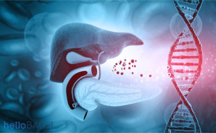 Vì sao bạn phải đề phòng hội chứng suy tế bào gan?