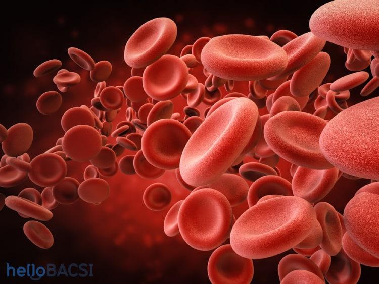 20 sự thật thú vị liên quan đến máu trong cơ thể con người