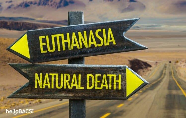 An tử và trợ tử: Bạn đã biết gì về “quyền được chết”?