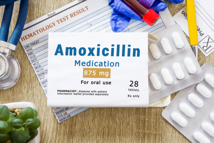 Nổi mẩn do dị ứng amoxicillin: Bạn cần làm gì?