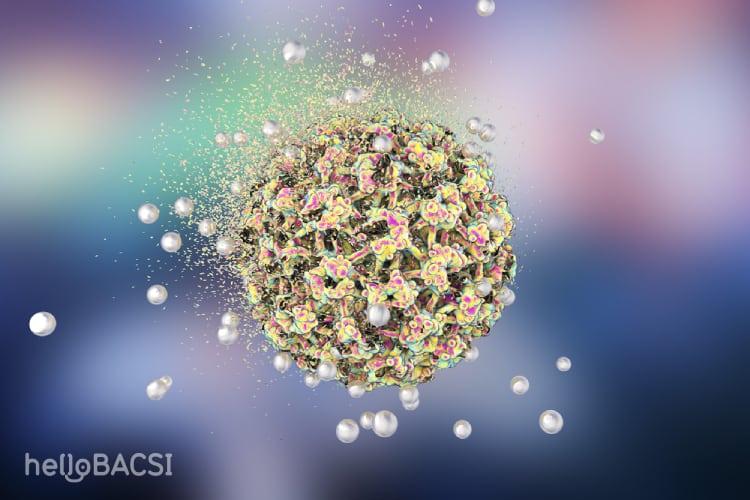 Sùi mào gà là gì? Mọi điều bạn cần biết về bệnh sùi mào gà