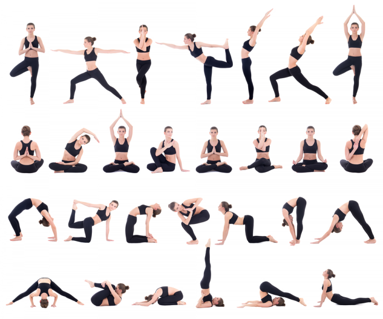12 tư thế yoga cơ bản nền tảng và các lớp học yoga uy tín
