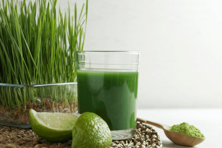 Uống nước ép cỏ lúa mì để bạn thấy khỏe hơn