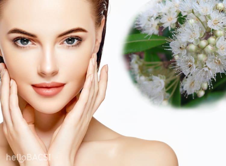 Những điều bạn cần biết về lá chanh sim trong chăm sóc da mụn