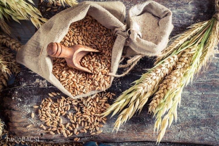 9 lợi ích sức khỏe của các loại ngũ cốc nguyên hạt