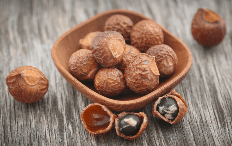 5 công dụng của quả bồ hòn giúp ích cho cuộc sống của bạn