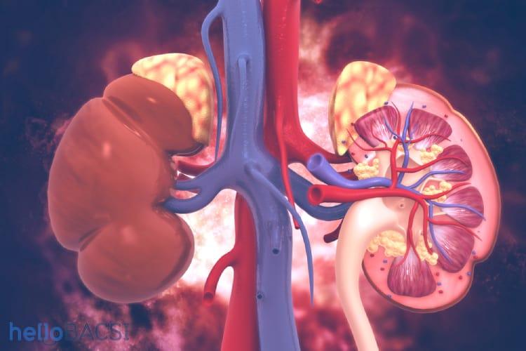 Tán sỏi nội soi ngược dòng và những điều bạn cần biết