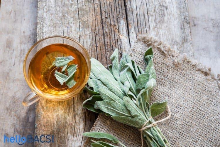 Trà xô thơm: Dễ pha và rất tốt cho bạn