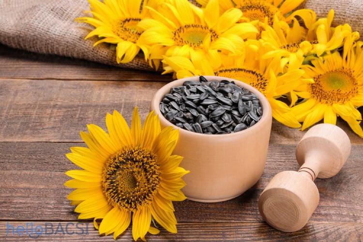 ba-bau-an-hat-huong-duong