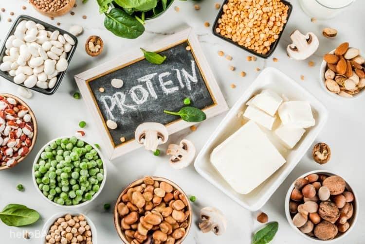 Khám phá 9 chức năng của protein quan trọng đối với cơ thể