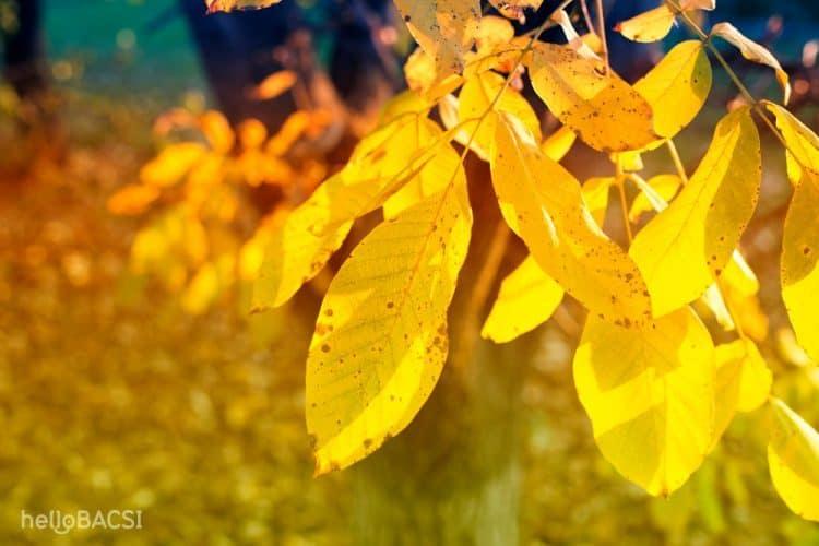 Dấu hiệu người sắp chết: 11 biểu hiện để bạn chuẩn bị tâm lý