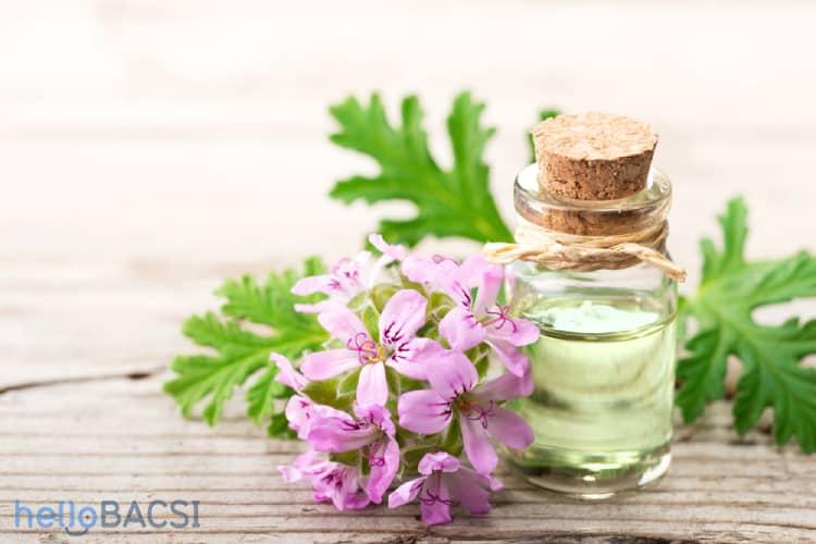 8 tác dụng thú vị của tinh dầu phong lữ mà có thể bạn chưa biết