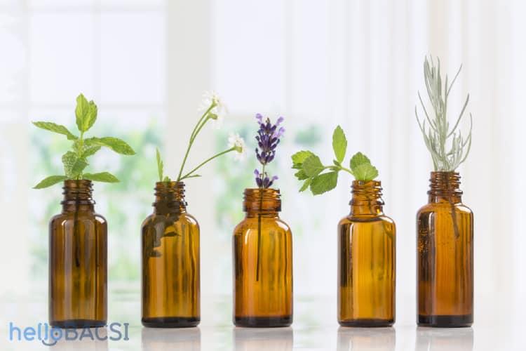 Bật mí 8 loại tinh dầu đuổi muỗi và côn trùng