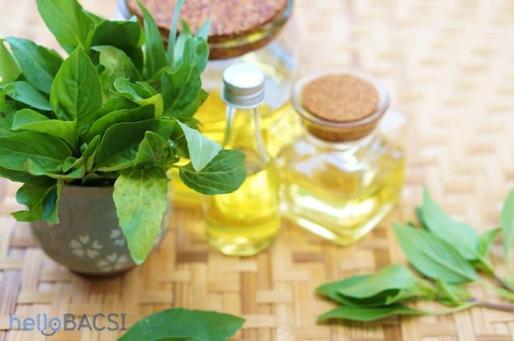 Tinh dầu húng quế: Vừa thơm, vừa dễ dùng