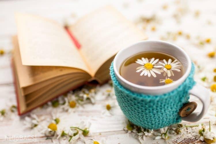 Uống gì để dễ ngủ? 9 loại thức uống giúp bạn ngủ nhanh và sâu hơn