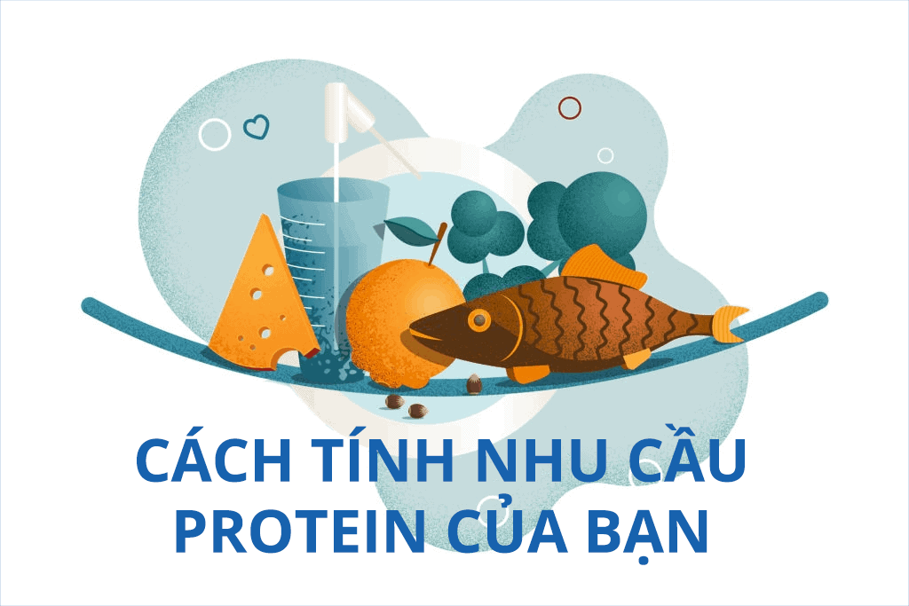 cach-tinh-nhu-cau-protein-cua-ban