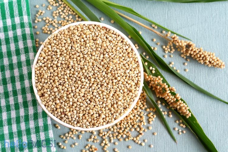 Cao lương: Người bạn tốt cho sức khỏe